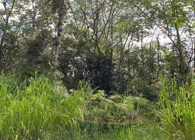 Property at 36th Ave, Kurtistown, HI 96760