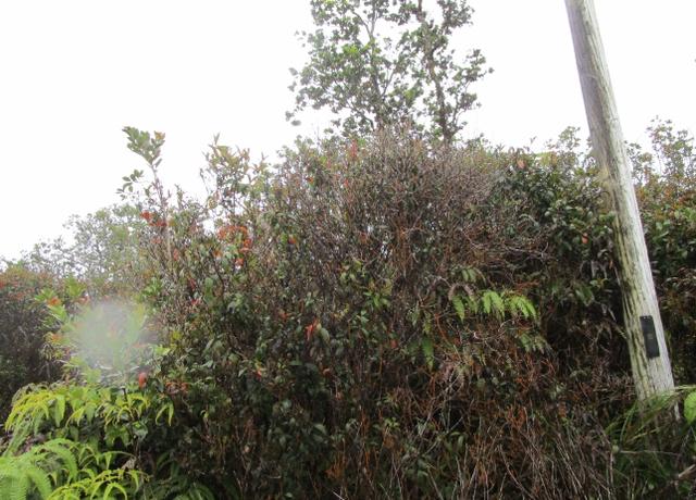 Property at Manini Cir, Mountain View, HI 96771