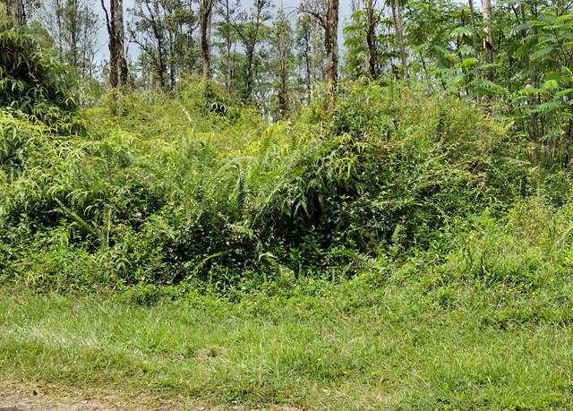 Property at Shell Rd, Pahoa, HI 96778
