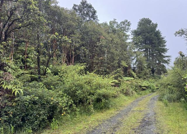 Property at Road 6, Volcano, HI 96785