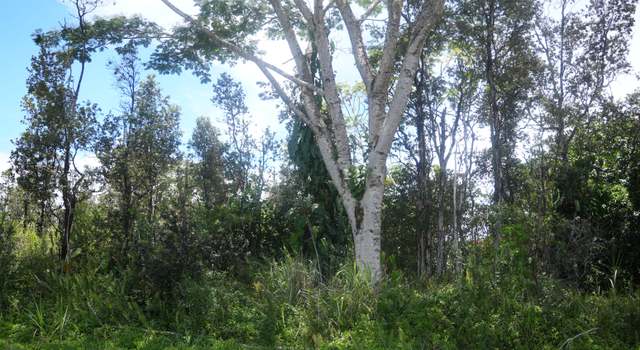 Photo of 24th Ave, Keaau, HI 96749