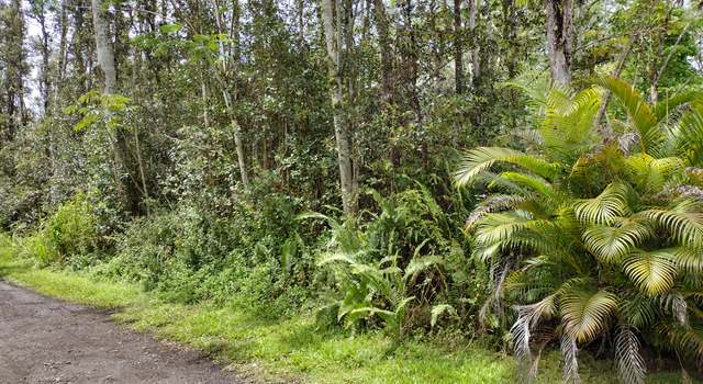 Photo of Hilo Rd #1, Nanawale Estates, HI 96778