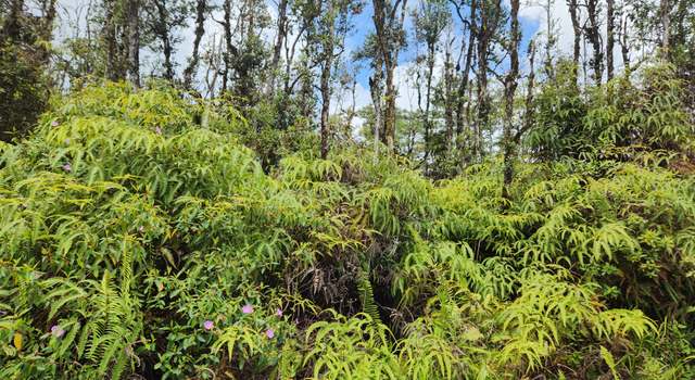 Photo of Molokai Rd, Pahoa, HI 96778