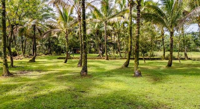 Photo of 15-1978 9th Ave, Keaau, HI 96749