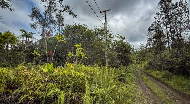 Photo of Road 10 (poouli), Kurtistown, HI 96760