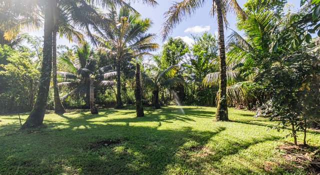 Photo of 28-238 Akaka Falls Rd, Honomu, HI 96728