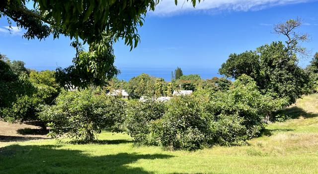 Photo of 78-6797 Mamalahoa Hwy, Holualoa, HI 96725