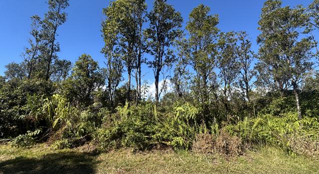 Photo of Wailele St, Mountain View, HI 96771
