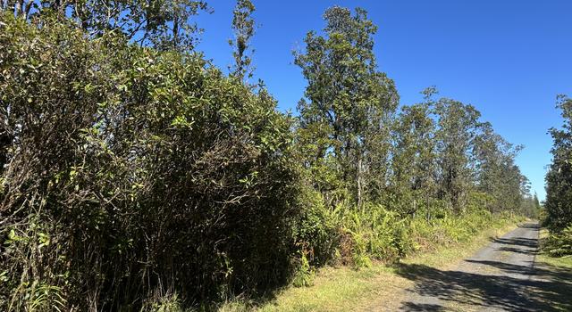 Photo of Wailele St, Mountain View, HI 96771
