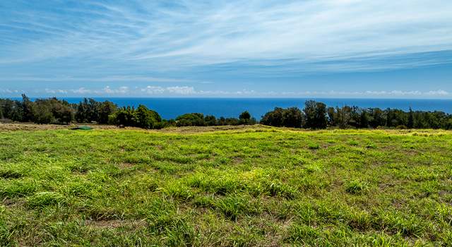 Photo of 44-2745 Kalopa Mauka Rd, Honokaa, HI 96727