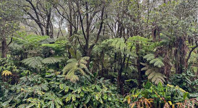 Photo of 11-3820 5th St, Volcano, HI 96785