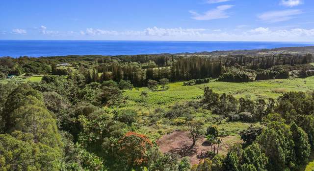 Photo of 29-2458 Kaiwiki Homestead Rd, Hakalau, HI 96710