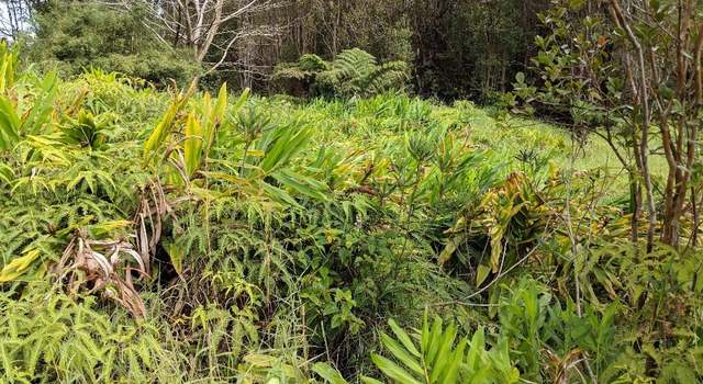 Photo of 18-1977 Ohia Nani Rd, Volcano, HI 96785