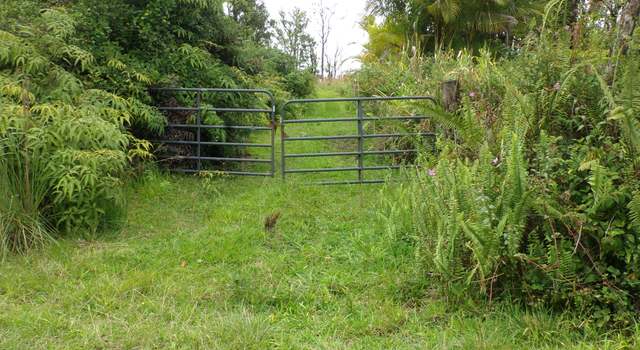 Photo of 11-2202 Omeka Rd, Volcano, HI 96785