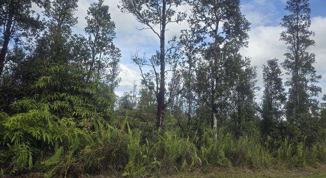 Photo of 16-1793 Uhini Ana Rd, Mountain View, HI 96760