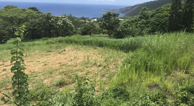 Photo of 83-1025 Kahauloa Pl, Captain Cook, HI 96704
