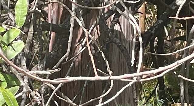 Photo of Poko St, Naalehu, HI 96772