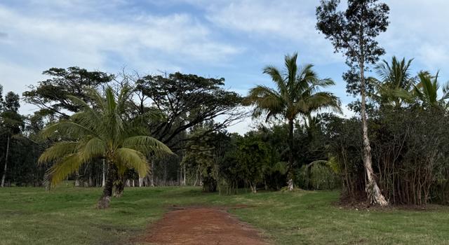Photo of 2818 Kamookoa Rd #5, Kilauea, HI 96722