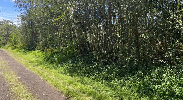Photo of Seadrift Rd, Pahoa, HI 96778