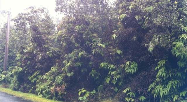 Photo of 283 Third St, Volcano, HI 96785