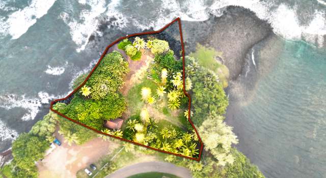 Photo of 175 Haneoo Rd, Hana, HI 96713