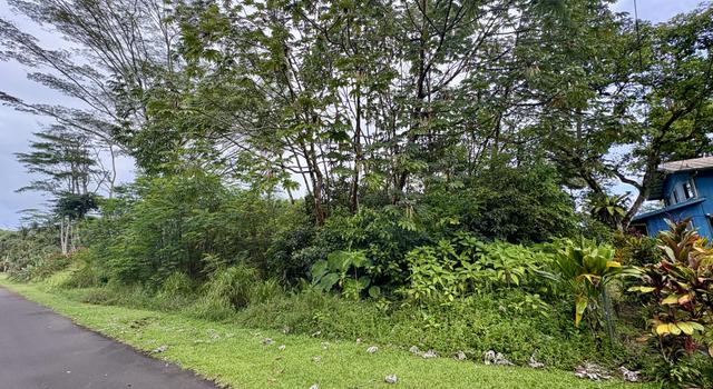 Photo of Nehu St, Pahoa, HI 96778