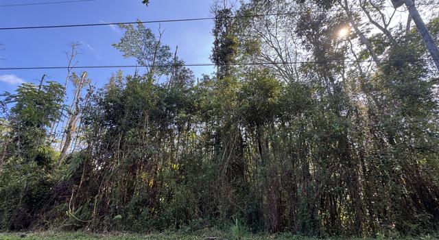 Photo of Oahu Rd, Pahoa, HI 96778