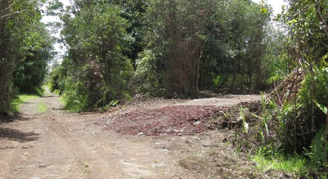 Photo of Road 11 (pulelehua), Kurtistown, HI 96760