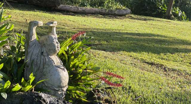 Photo of 13-3980 Pahoa Kalapana Rd, Pahoa, HI 96778