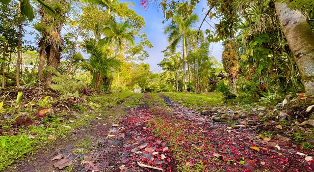 Photo of 13-3980 Pahoa Kalapana Rd, Pahoa, HI 96778