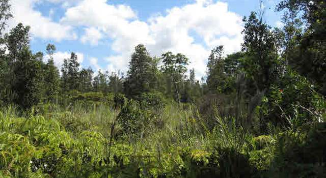 Photo of 24 34th Ave, Kurtistown, HI 96760