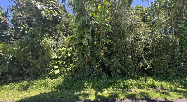 Photo of Palani St, Pahoa, HI 96778