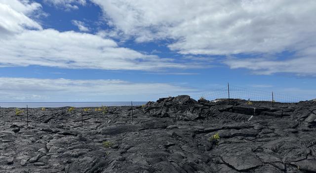 Photo of PAHOA, HI 96778, Pahoa, HI 96778