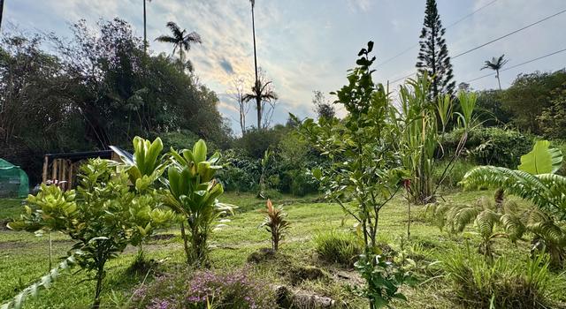 Photo of 18-1209 Kauai St, Mountain View, HI 96771