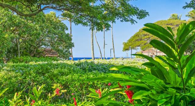 Photo of 2253 Poipu Rd #168, Koloa, HI 96756