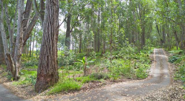 Photo of 44-3895 Kukuipapa Rd, Paauilo, HI 96776