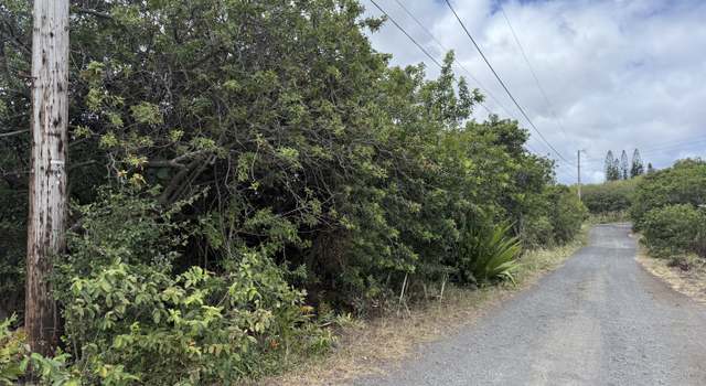 Photo of Puukani Rd, Naalehu, HI 96772