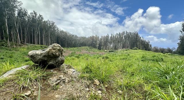 Photo of Cane Haul Rd, Honokaa, HI 96727