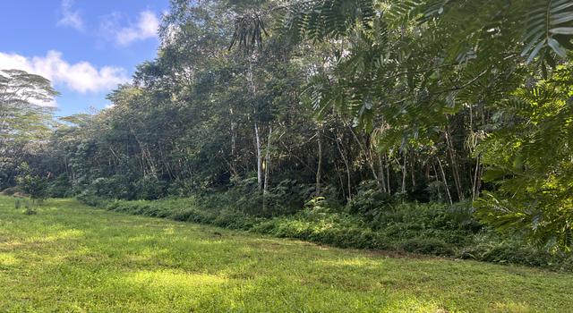 Photo of Noni Farm Rd, Pahoa, HI 96778