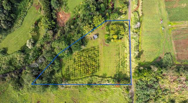Photo of 27-1731 Aleamai Rd, Papaikou, HI 96781