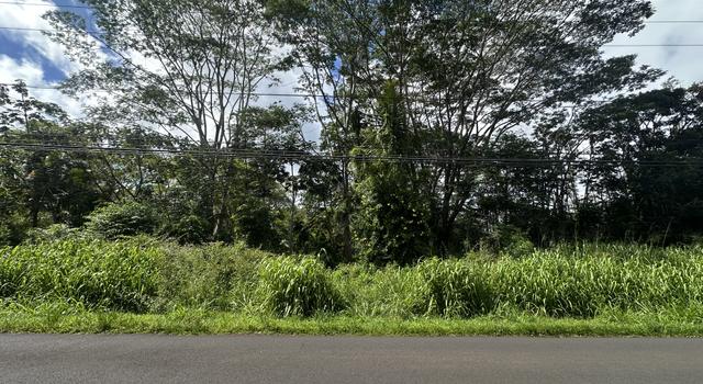 Photo of Leilani Blvd, Pahoa, HI 96778