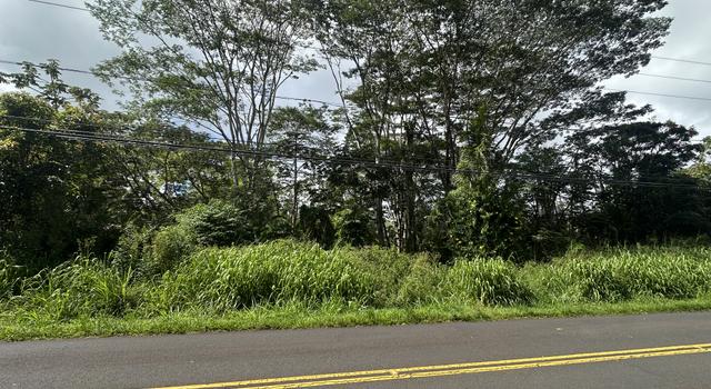 Photo of Leilani Blvd, Pahoa, HI 96778