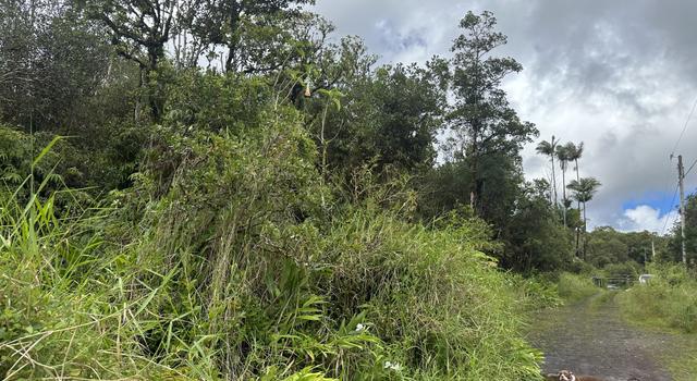 Photo of Waikiki St, Mountain View, HI 96771