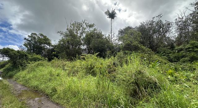 Photo of Waikiki St, Mountain View, HI 96771