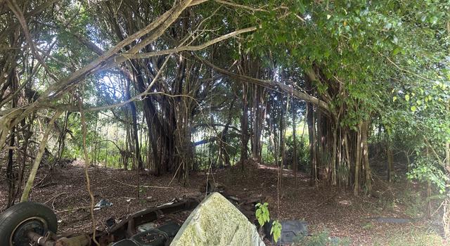 Photo of 16-909 Kea Rd, Mountain View, HI 96771