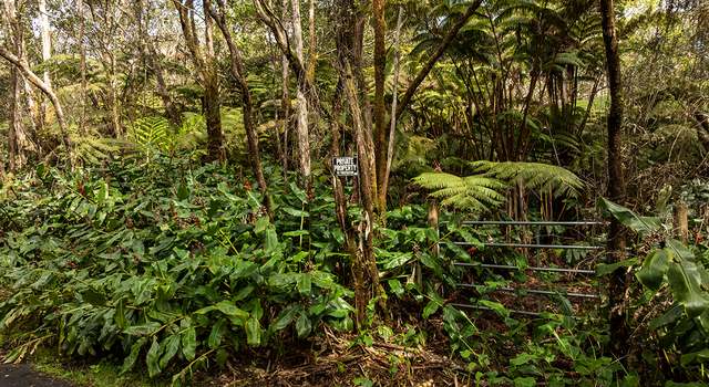 Photo of 9th St, Volcano, HI 96785