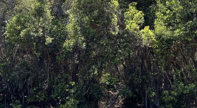 Photo of 99-7811 Kanoni Pl, Volcano, HI 96785