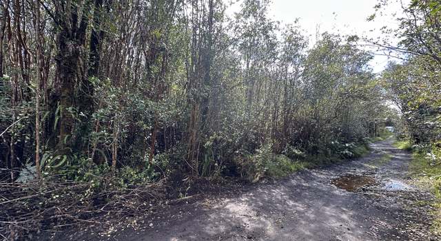 Photo of Road 13, Volcano, HI 96785