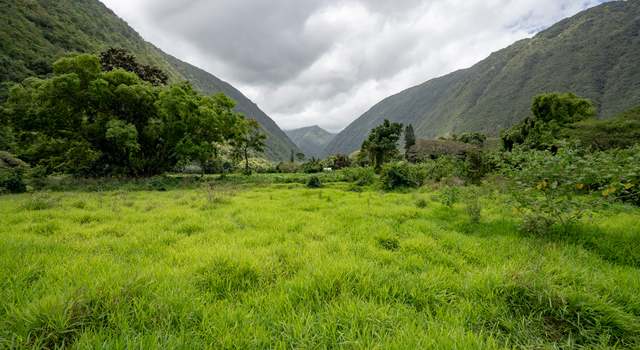 Photo of Waipio Valley Rd, Honokaa, HI 96727