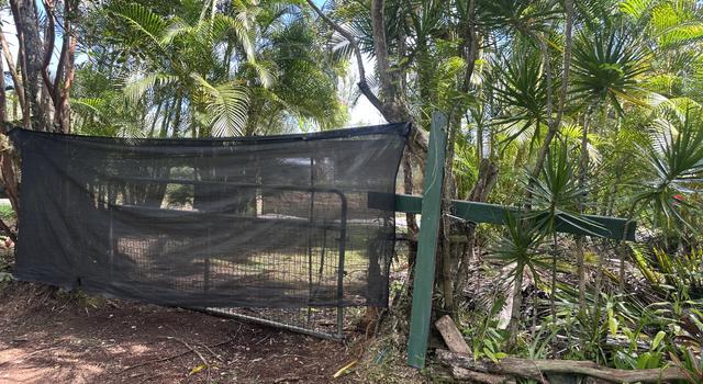 Photo of Aloha Rd, Pahoa, HI 96778